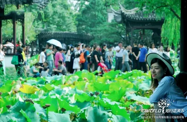 深圳知行走天下文化传播有限公司